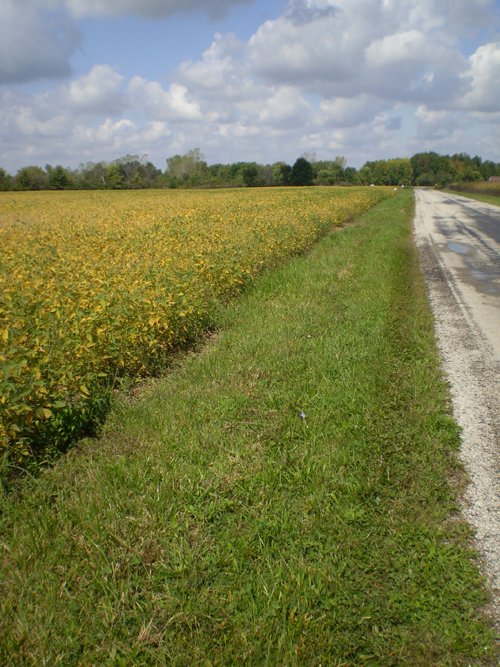 Property photo 5 - 75+/- Acres in 9 Tracts